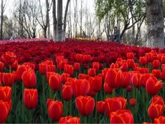 景点-西昌邛海湿地