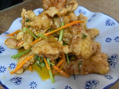 锅包肉-田师傅中餐馆东北人家(众望街店)