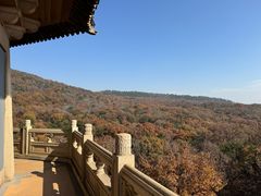 -灵谷景区