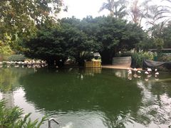 -香港皇家太平洋酒店