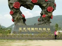 -亚龙湾国际玫瑰谷