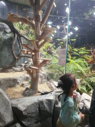 -Zoolung Zoolung动物主题公园(海信广场店)