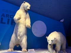 -贝林大翅鲸简餐厅(国家海洋博物馆店)