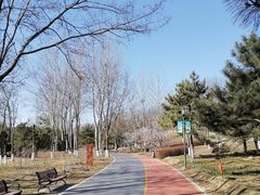 -大兴滨河森林公园