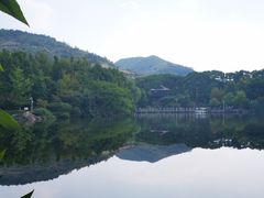 -白马涧龙池景区