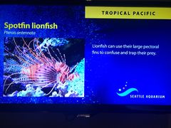 -西雅图水族馆