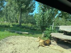 -北京野生动物园