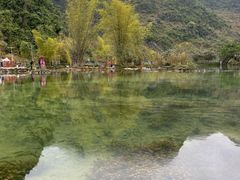 -靖西鹅泉风景区