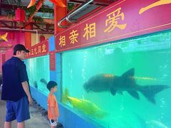 -年辉渔村·非遗传承餐厅(新丰江店)