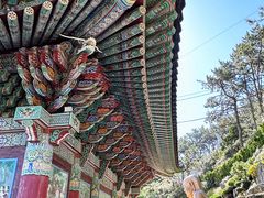 -海东龙宫寺