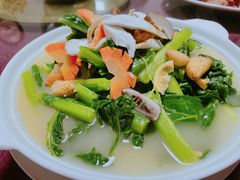 -福山迈臣农家乐