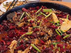 -老板恋上鱼(恒隆广场店)