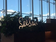 -Seesaw Coffee(朝阳大悦城店)