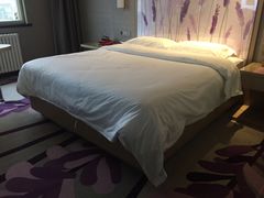 -麗枫酒店(西安大明宫龙首原地铁站店)