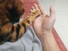 -豫楚源美猴王·面(武商广场店)
