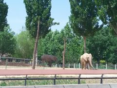 -石家庄市动物园