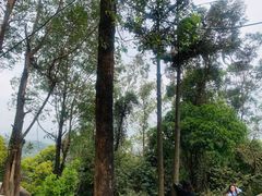 -火炉山森林公园