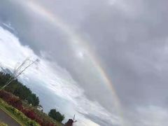 -北纬44度·金珠花海休闲农业旅游景区