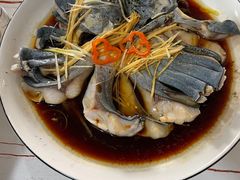 -煲来饱去冷水鱼