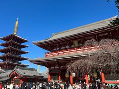 -浅草寺