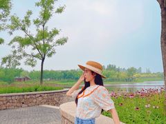 -东郊湿地公园