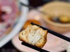 -大中鱼翅 Taitong Shark Fin