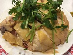 白斩鸡-振鼎鸡(福州路店)
