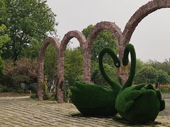 -鹅湖玫瑰文化园