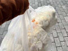 -袁大头包子(光华路店)