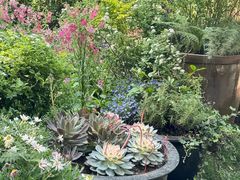 -BOCATA 西班牙餐厅(三里屯店)