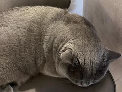 -Me Coffee下午茶艺术空间