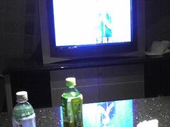 -上海歌城