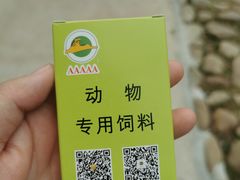 -上海野生动物园