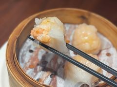 千日贺虾饺皇-千日贺茶餐厅(高新万达店)
