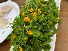 -海胆小馆(东北水饺·春柳店)