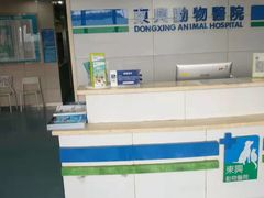 -宠颐生东兴动物医院(大悦城店)