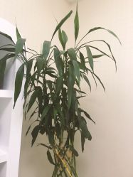 -悟空祛痘·诺奖技术专业店