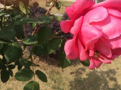 -呼吸森林·生态农庄农家乐私房菜