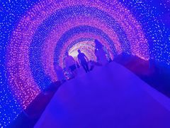 -大塘金香草谷