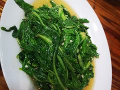 油麦菜-日日香卤鹅饭店·澄海狮头鹅(澄海店)