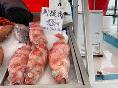 -Steveston Pizza Company (Richmond)