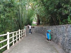 -晓港公园