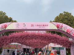 -南汇桃花村