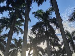 -三亚亚龙湾万豪度假酒店