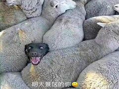 -庐山天沐温泉度假村
