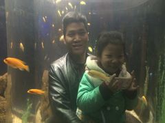 -洛阳龙门海洋馆