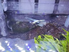 -三旗百汇商品城