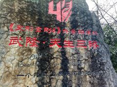 -武隆天坑地缝国家地质公园