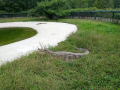 -秦皇岛野生动物园