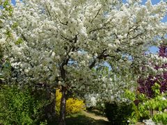 -国家植物园南园